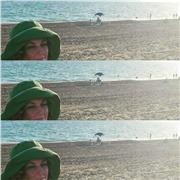 Insegnante di italiano impartisce ripetizioni in presenza e on line a studenti di ogni ordine e grado